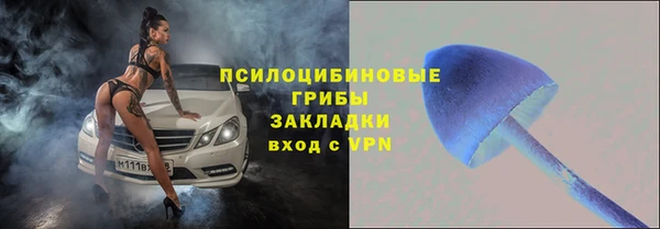 эйфоретик Алзамай