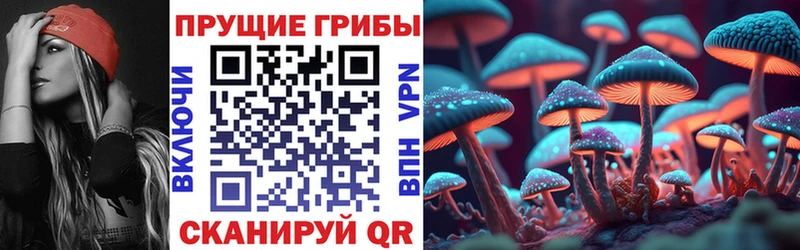 Купить  Буинск  Галлюциногенные грибы Magic Shrooms 